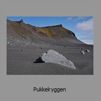 Pukkelryggen